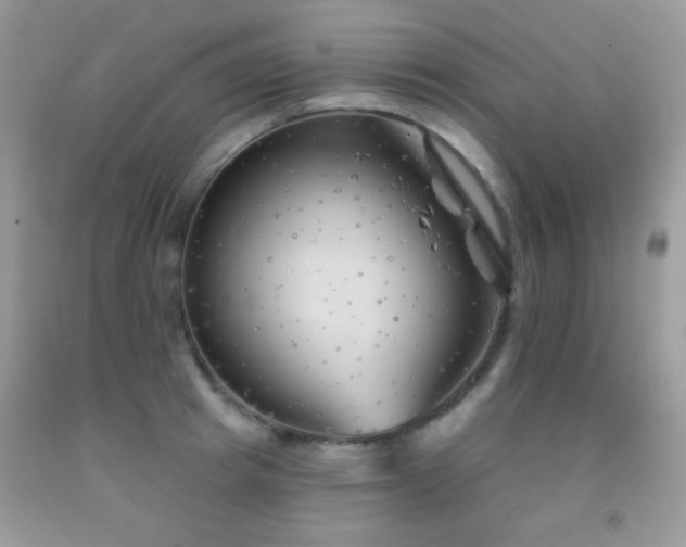 X0000092010849200709061531