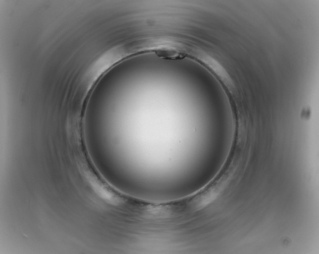 X0000092010850200709061531