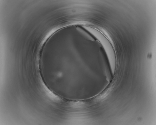 X0000092010851200709061531