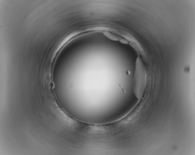 X0000092010852200709061531