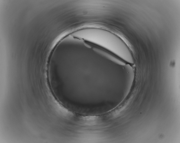 X0000092010853200709061531