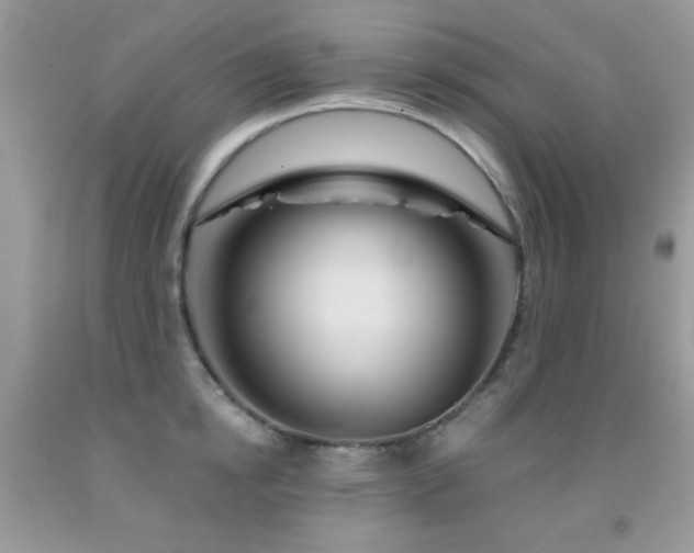 X0000092010854200709061531