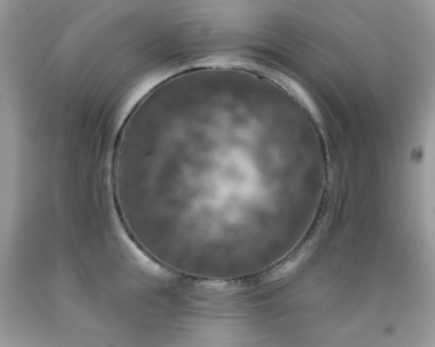 X0000092010855200709061531