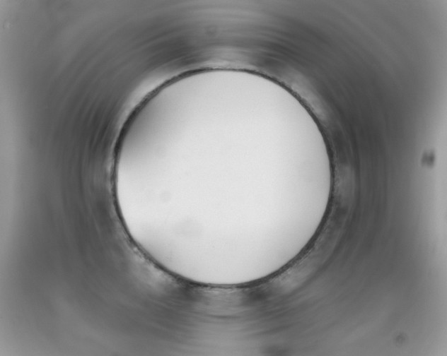 X0000092010856200709061531