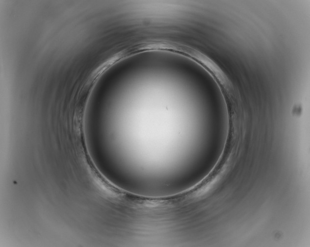 X0000092010857200709061531