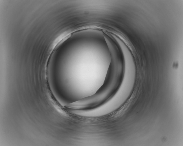 X0000092010858200709061531