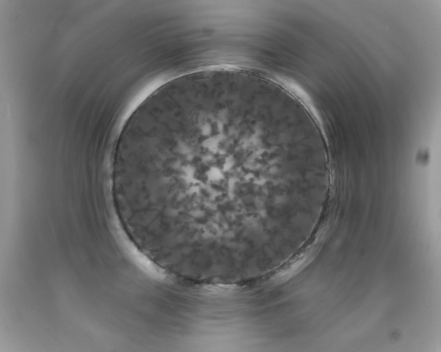 X0000092010859200709061531
