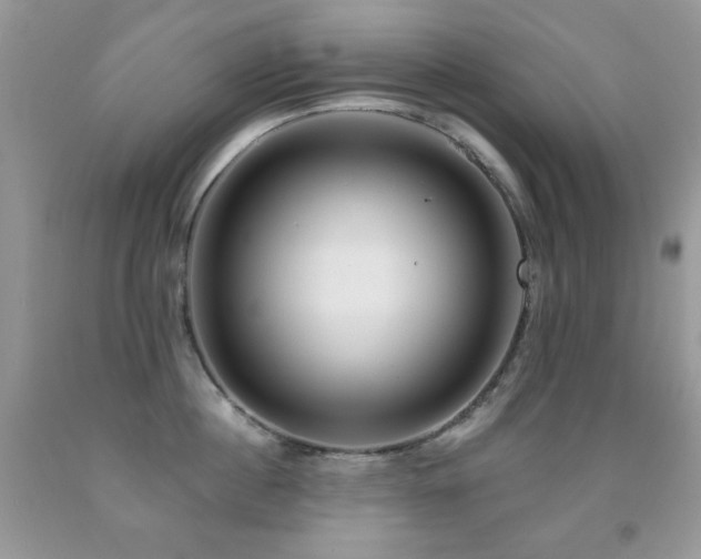 X0000092010860200709061531