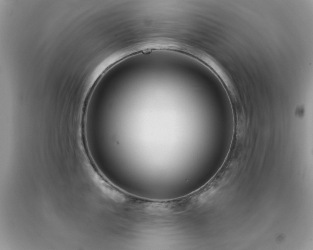 X0000092010861200709061531