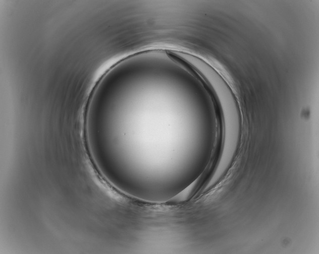 X0000092010862200709061531