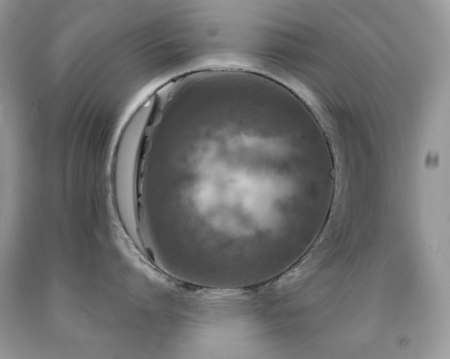 X0000092010864200709061531