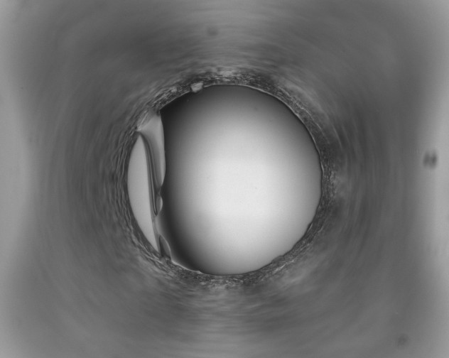 X0000092010865200709061530