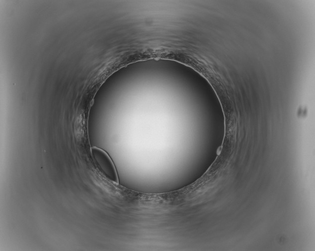 X0000092010866200709061530