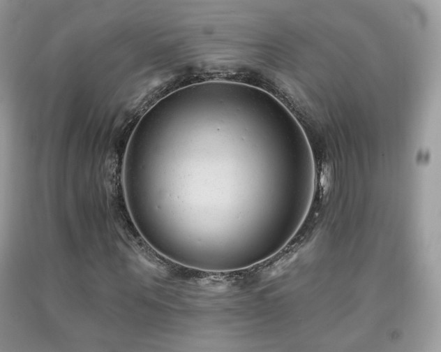X0000092010867200709061530