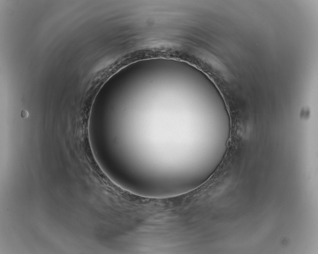 X0000092010869200709061530