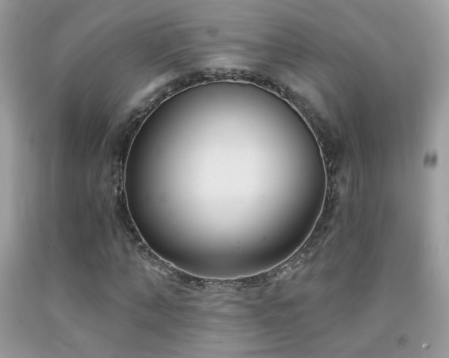 X0000092010870200709061530