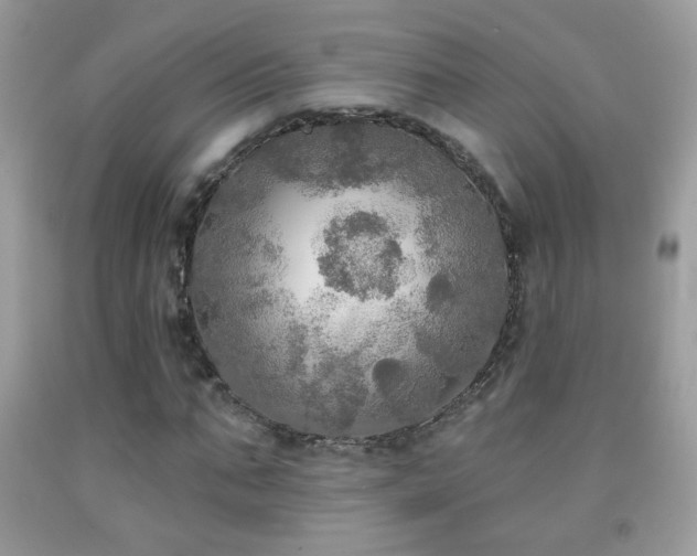 X0000092010871200709061530