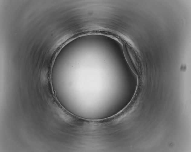 X0000092010873200709061530