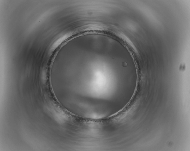 X0000092010874200709061530