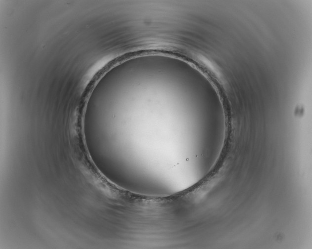 X0000092010875200709061530
