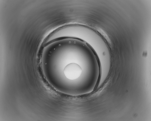 X0000092010876200709061530