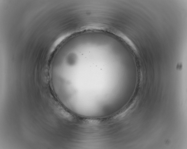 X0000092010878200709061530