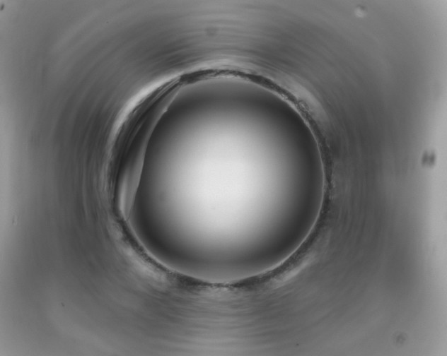 X0000092010880200709061530