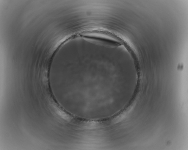 X0000092010881200709061530