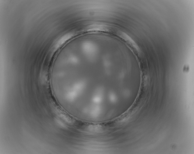 X0000092010882200709061530