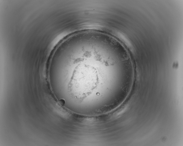 X0000092010883200709061530
