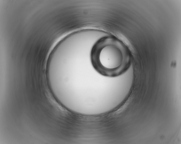 X0000092010884200709061530