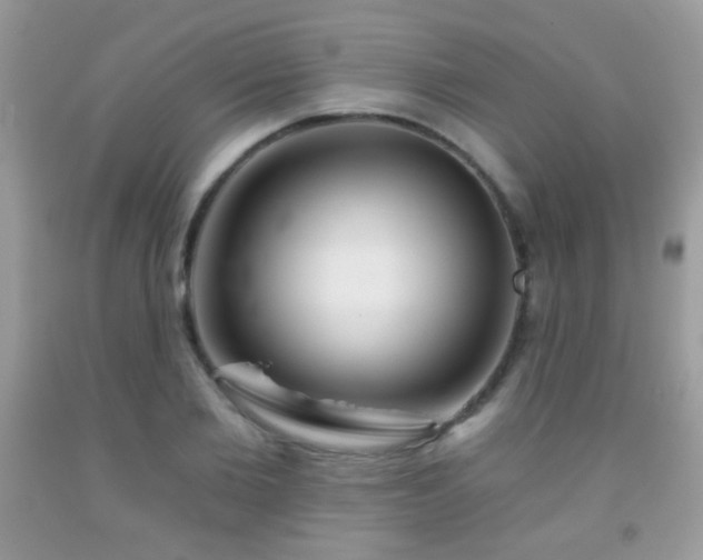 X0000092010885200709061530