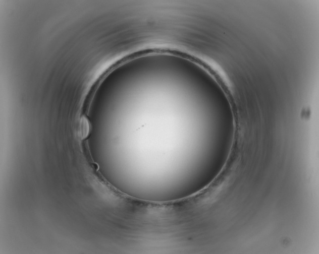 X0000092010887200709061530