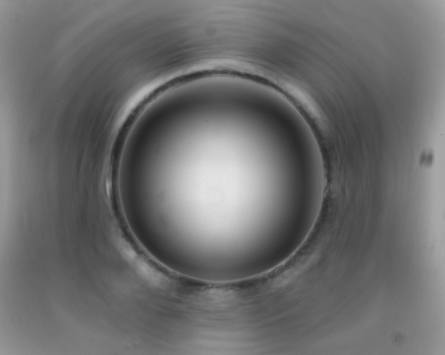 X0000092010888200709061530