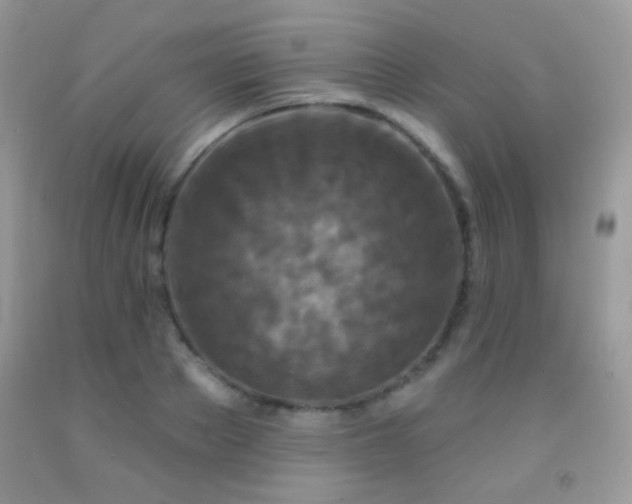X0000092010889200709061530