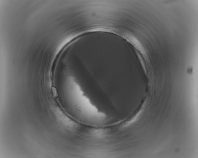 X0000092010892200709061530
