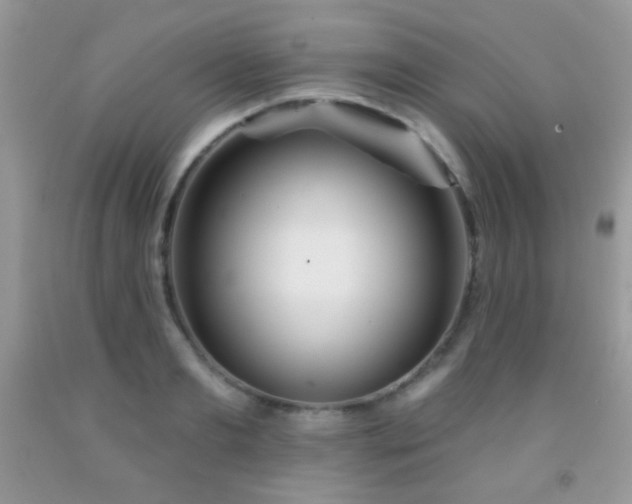 X0000092010893200709061530