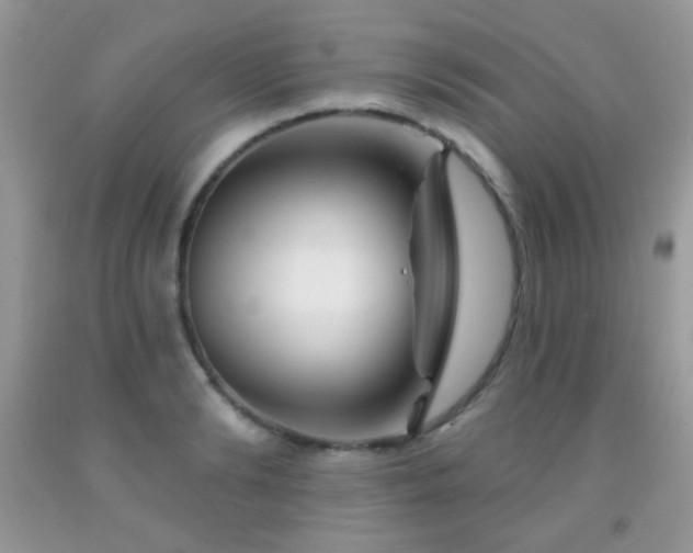 X0000092010894200709061530