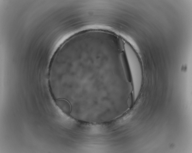 X0000092010895200709061530