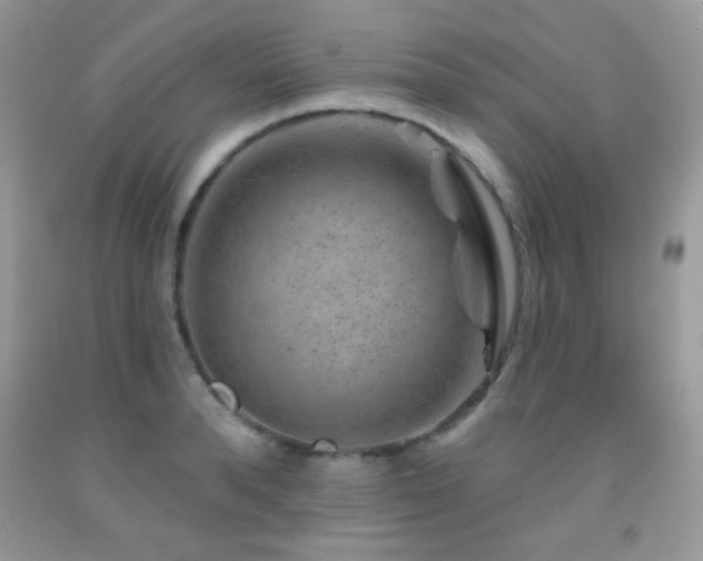 X0000092010896200709061530