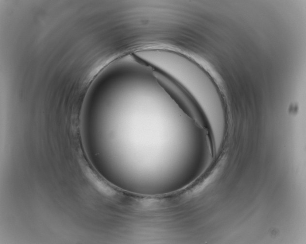 X0000092010897200709061530