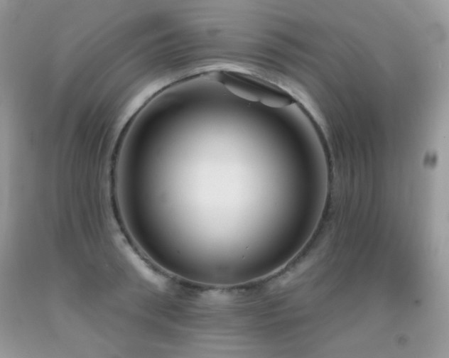 X0000092010898200709061530