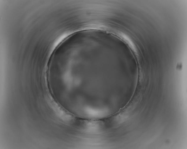 X0000092010899200709061530