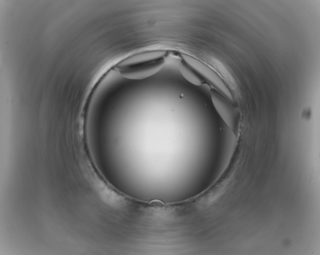 X0000092010900200709061529