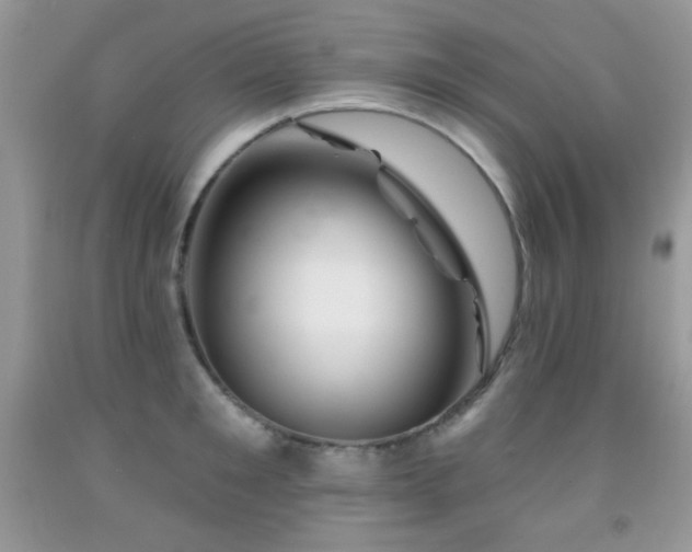 X0000092010901200709061529