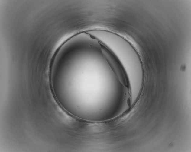 X0000092010902200709061529