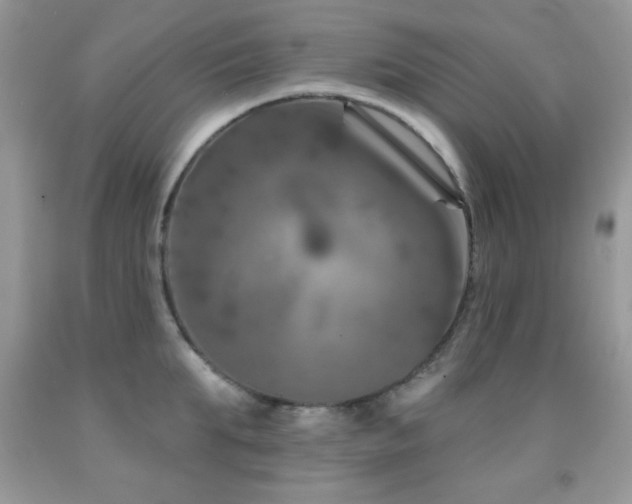 X0000092010903200709061529