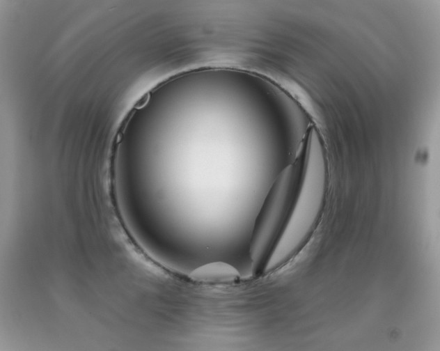 X0000092010904200709061529