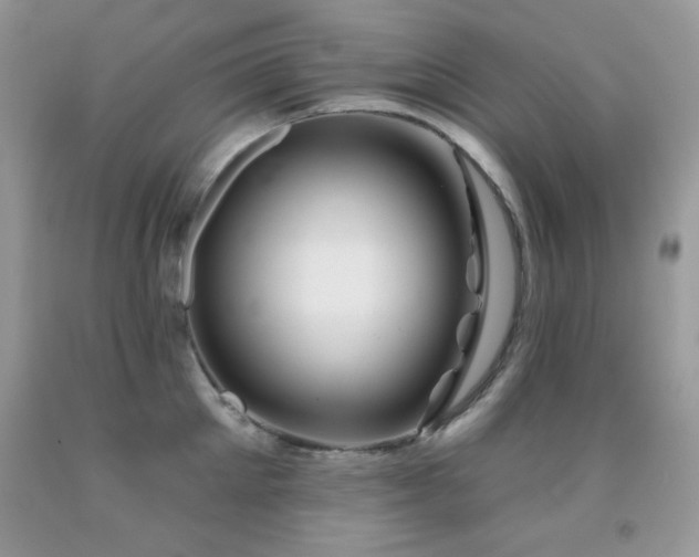 X0000092010905200709061529