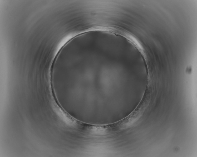 X0000092010907200709061529